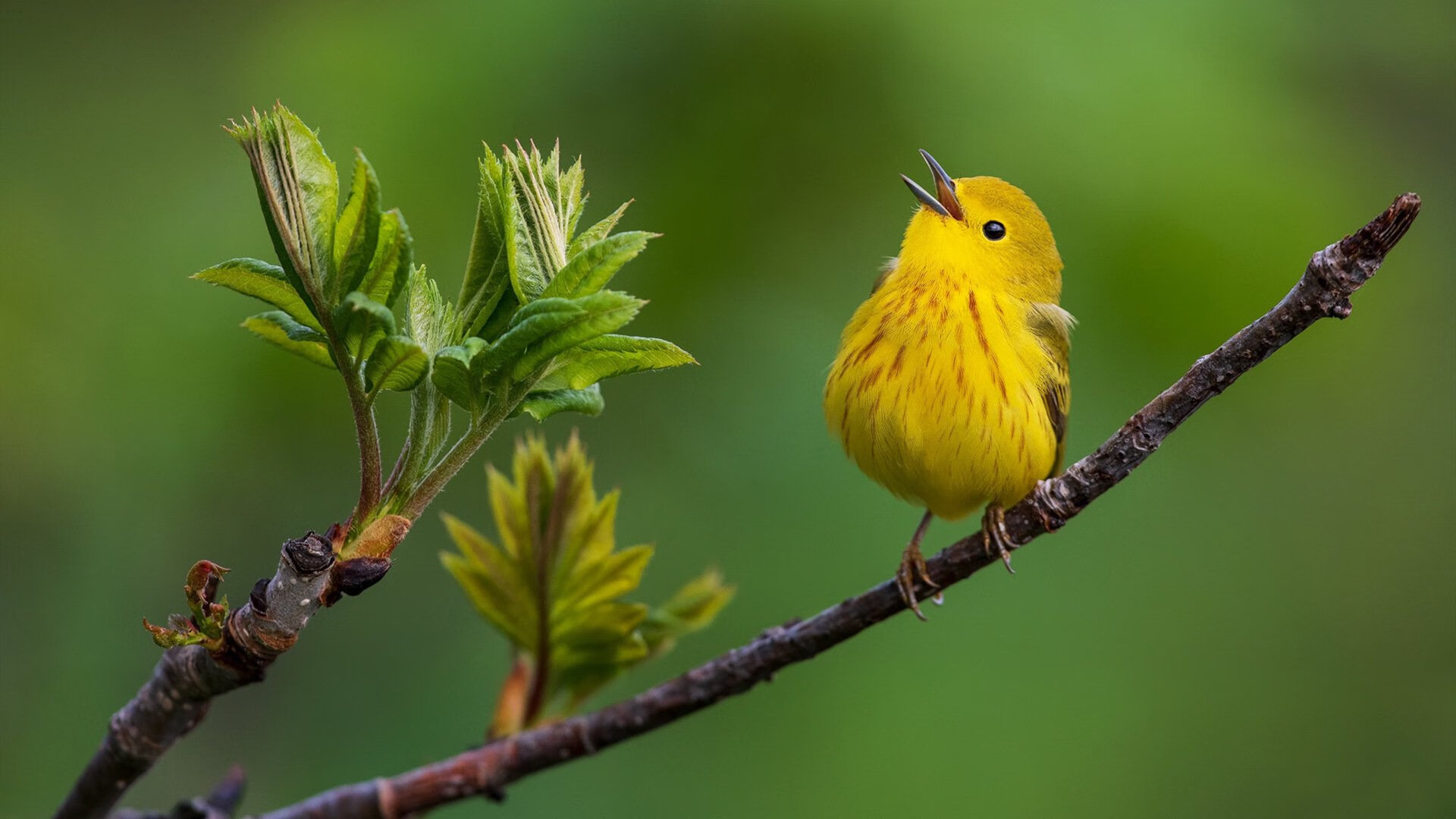 kaiyun.com-《Dota 2决赛逆转奇迹,高潮迭起燃爆全场》,dota2最经典的比赛