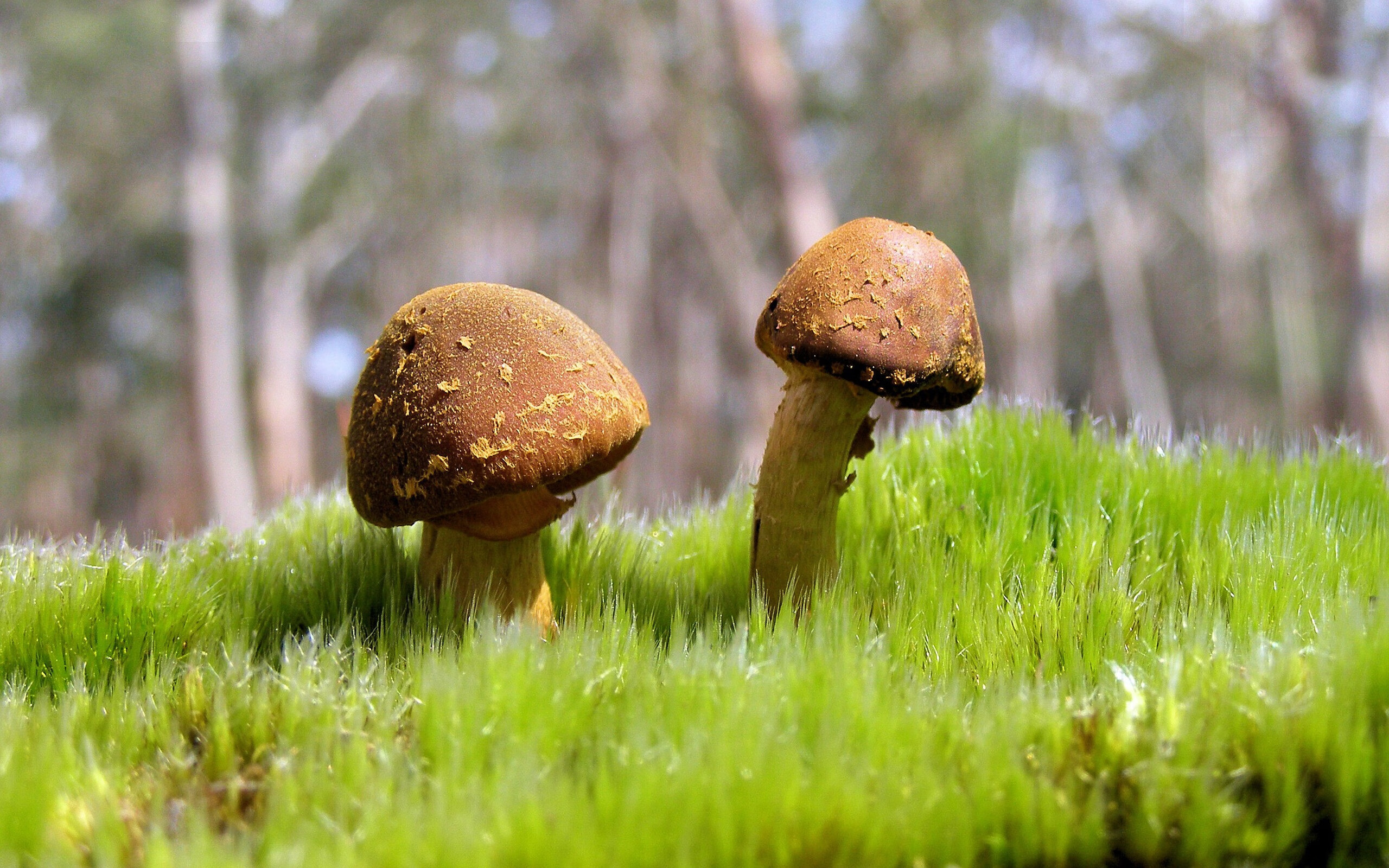 kaiyun网站-《物联网技术赋能:打造智慧电竞生态》,物联网+技术