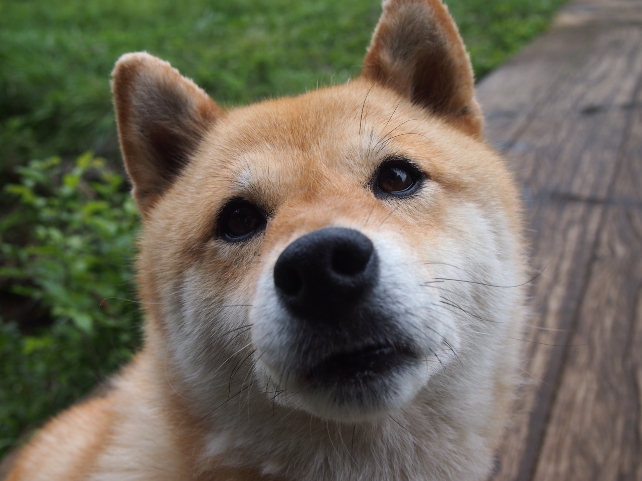 开云官网在线-《王者荣耀官方超级联赛,最强战队会师总决赛》,王者荣耀super战队