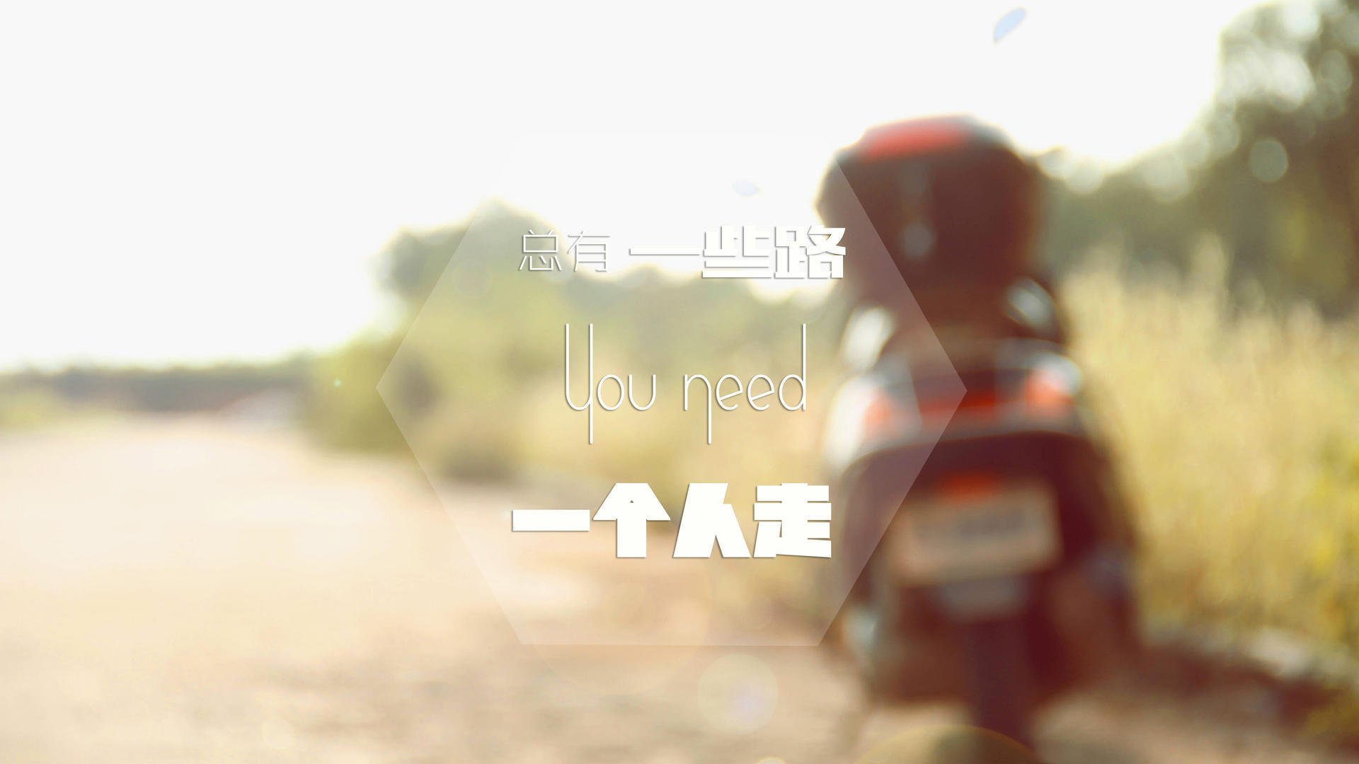 开云·体育官网-伊朗马术协会推出马匹健康管理系统，提升马匹福利。，伊朗 马赛克