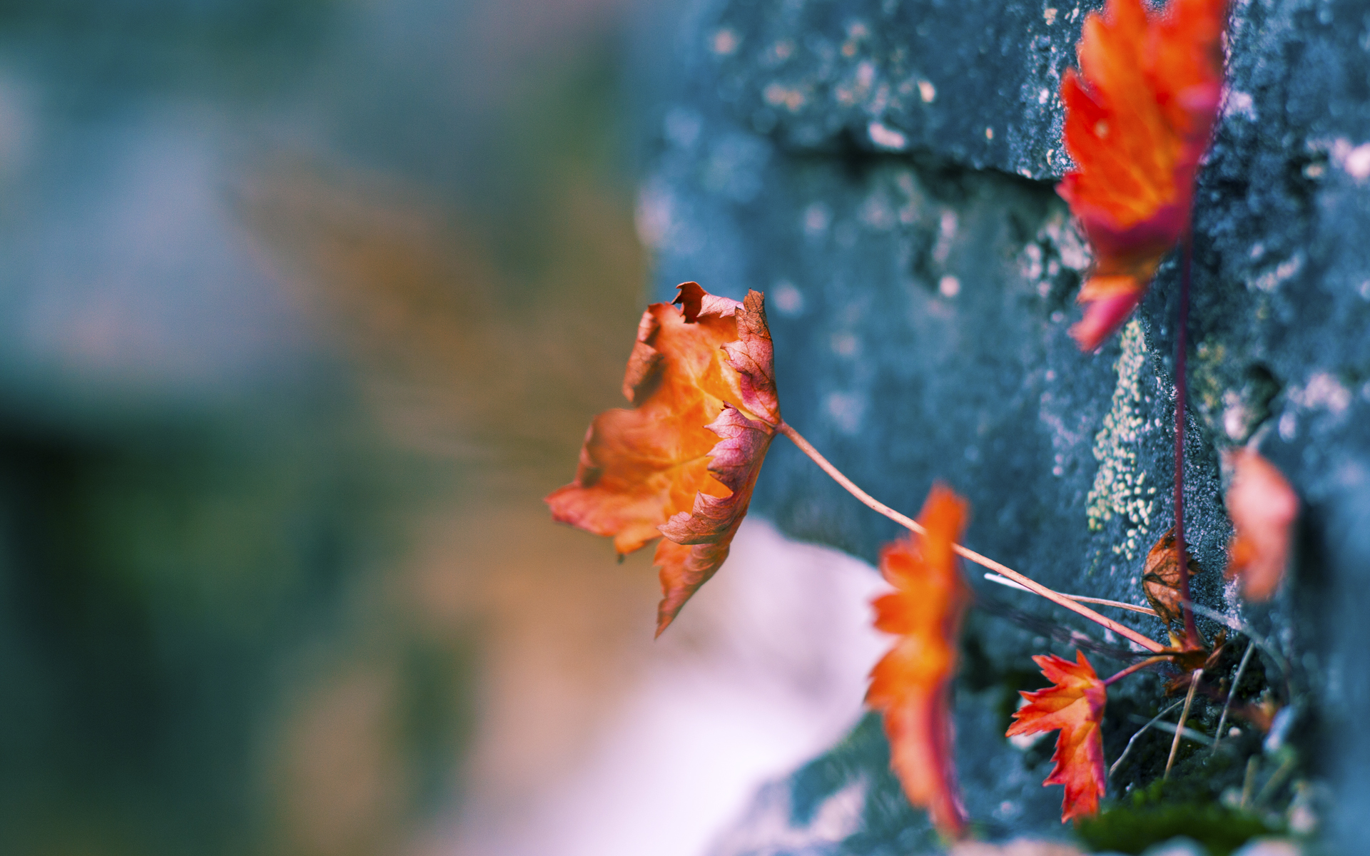 开云电竞-坦克世界年度冠军争夺赛火热开战，坦克大战一触即发