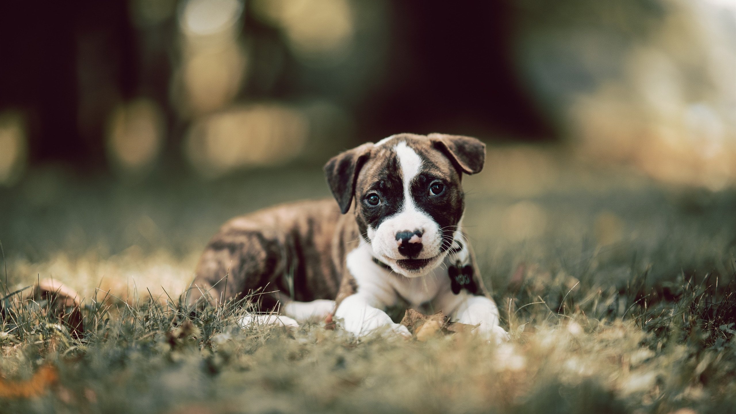 开yun体育-技术统计：投篮命中率北京46%，上海44%，拼出胜负，投篮命中率和真实投篮命中率