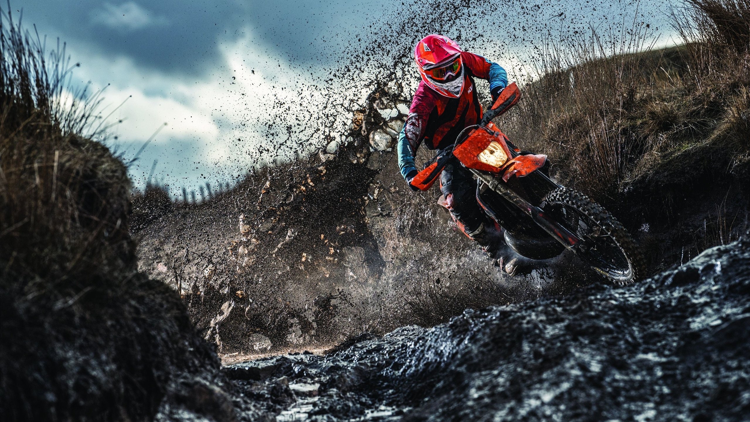 开云体育视频直播-“霍斯特全能防守，帮助南非队成为世界顶级强队”